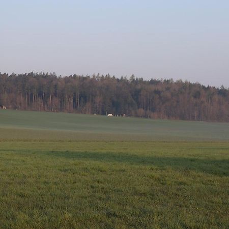 Отель Zur Altmuehlquelle Windelsbach Экстерьер фото